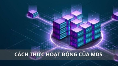 Chia Sẻ Kinh Nghiệm Chơi Tài Xỉu MD5 Hiệu Quả Cho Newbie