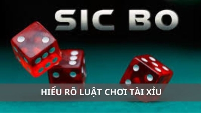 Chiến Thuật Ăn Non Tài Xỉu Hiệu Quả - Bí Quyết Thắng Lớn